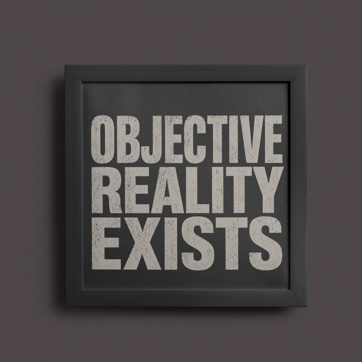 Objective Reality Exists Frame