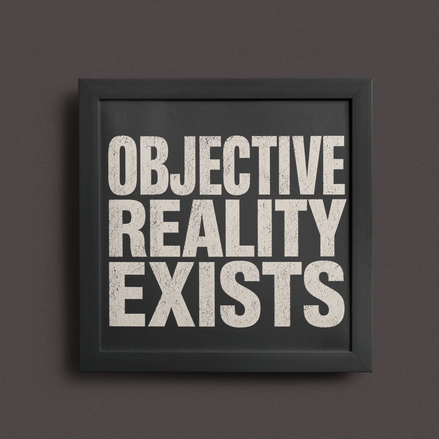Objective Reality Exists Frame