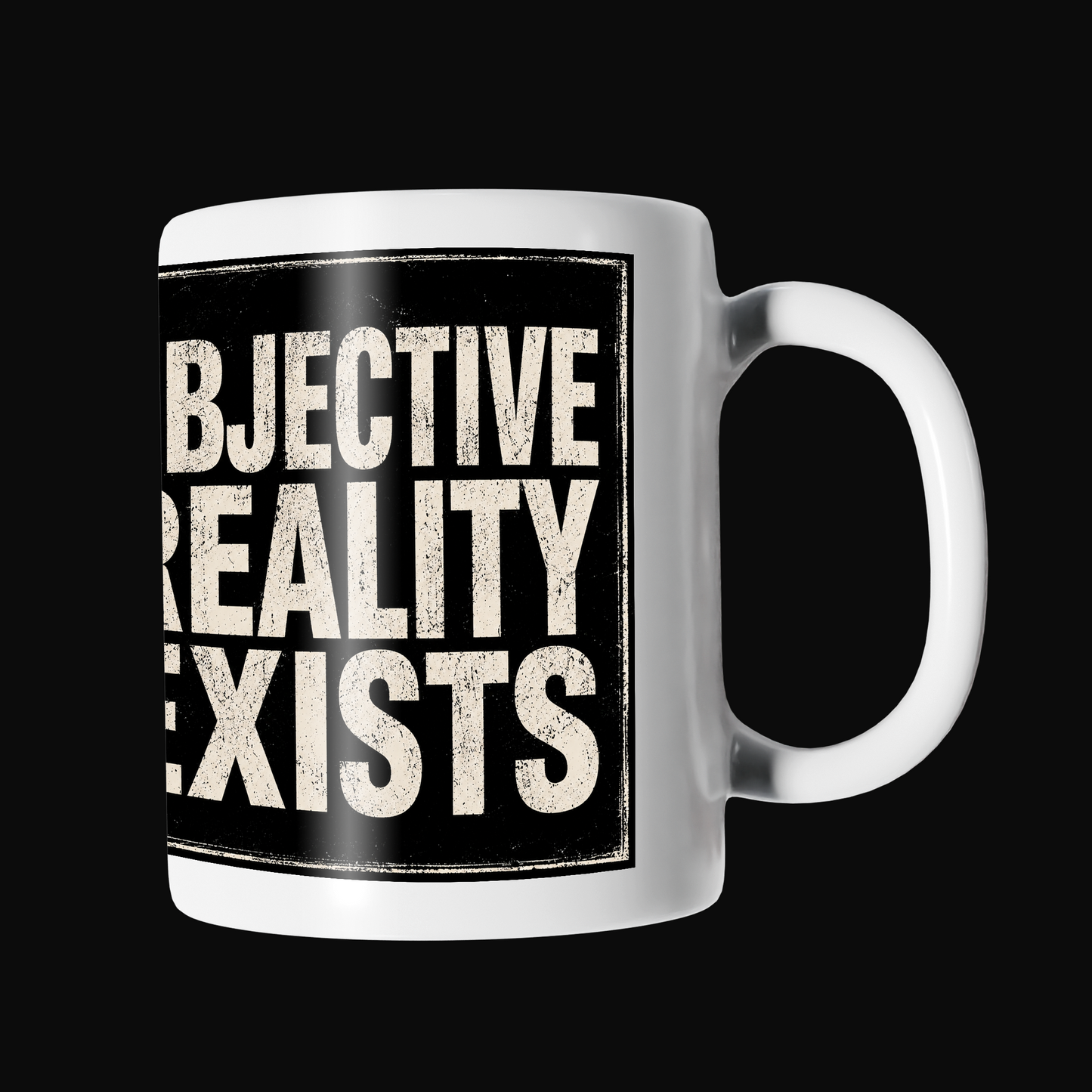 Objective Reality Exists Mug